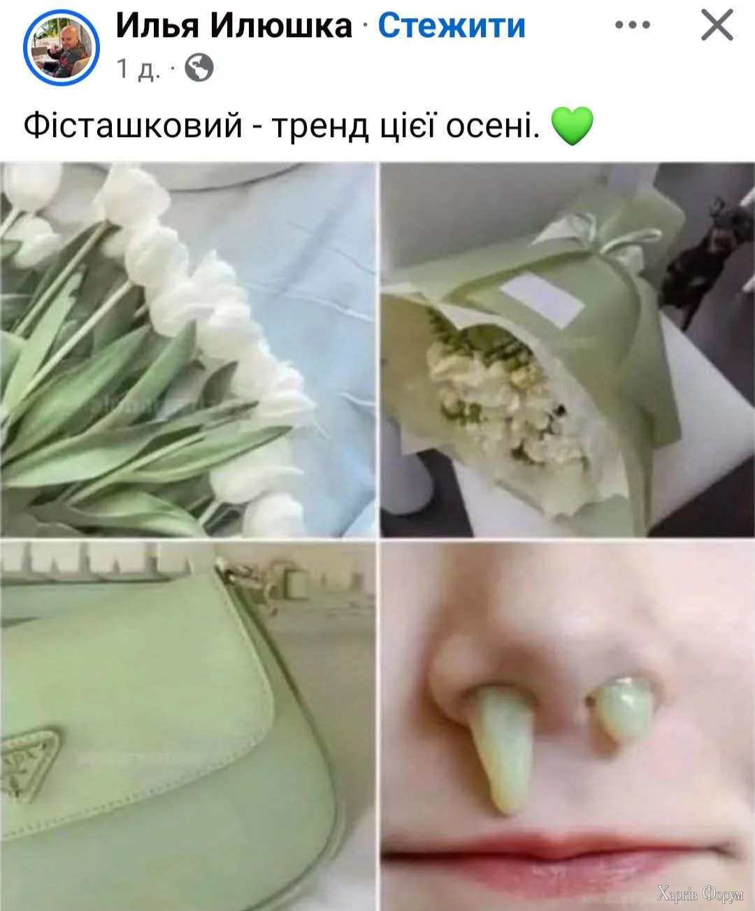 1000049889.webp