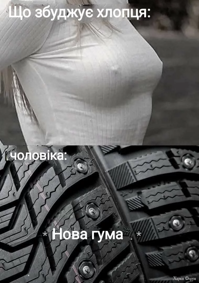 1000050073.webp