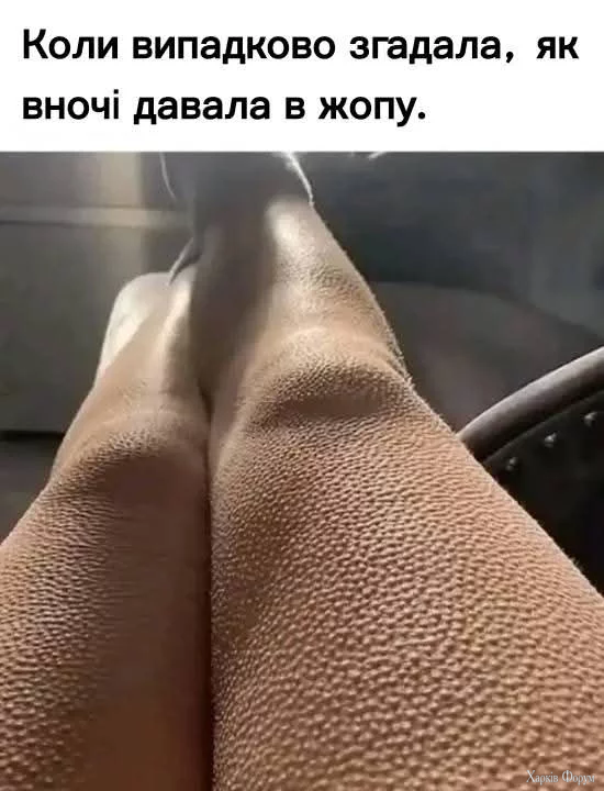 1000050270.webp