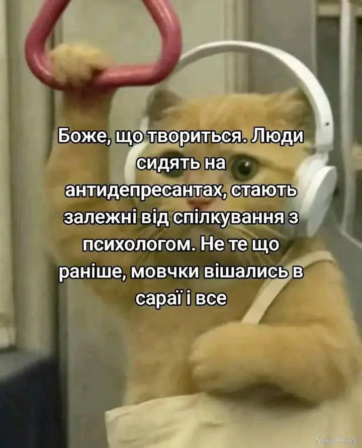 1000050278.webp