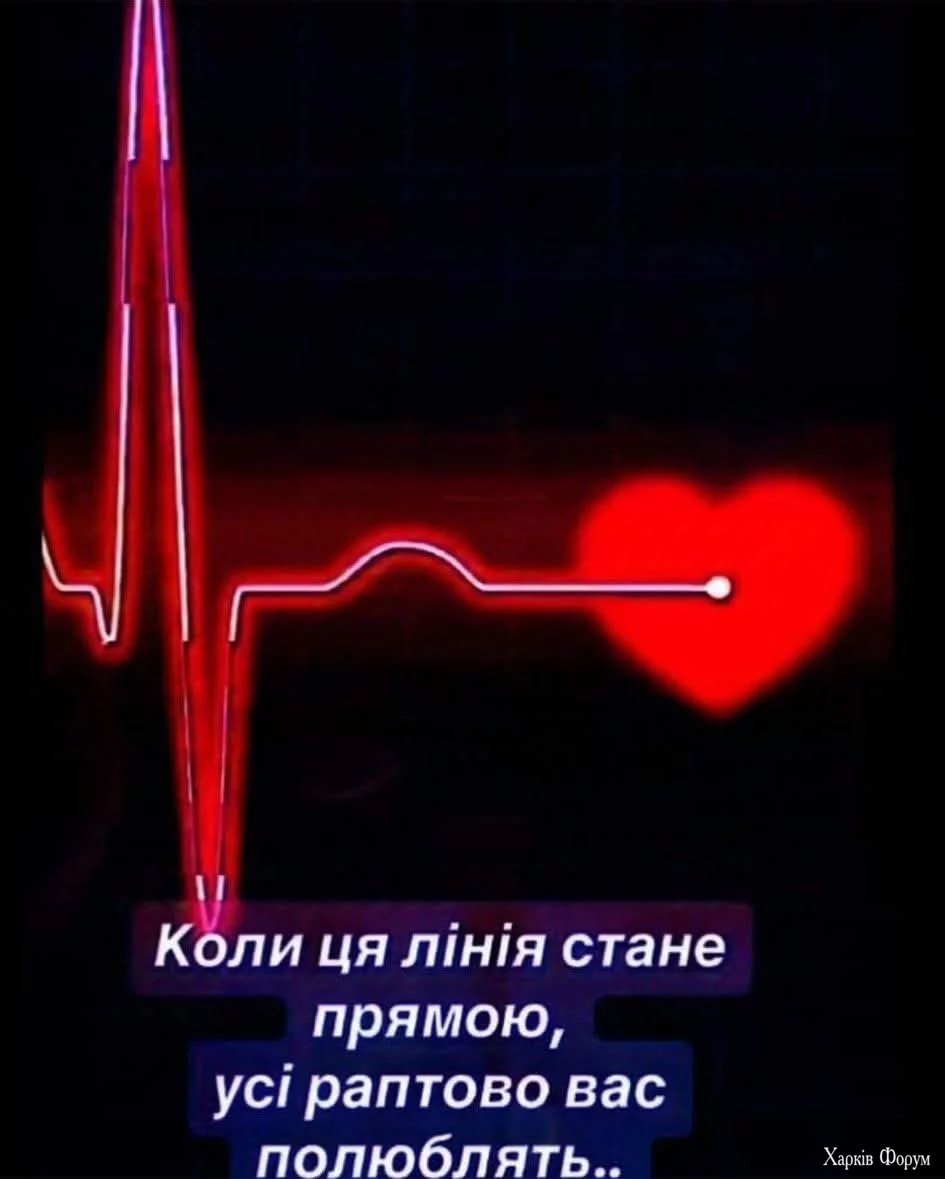 1000050454.webp