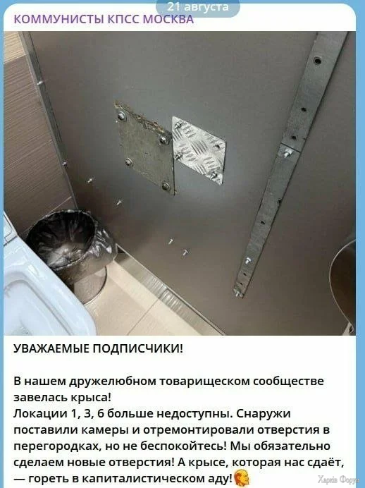 1000050486.webp