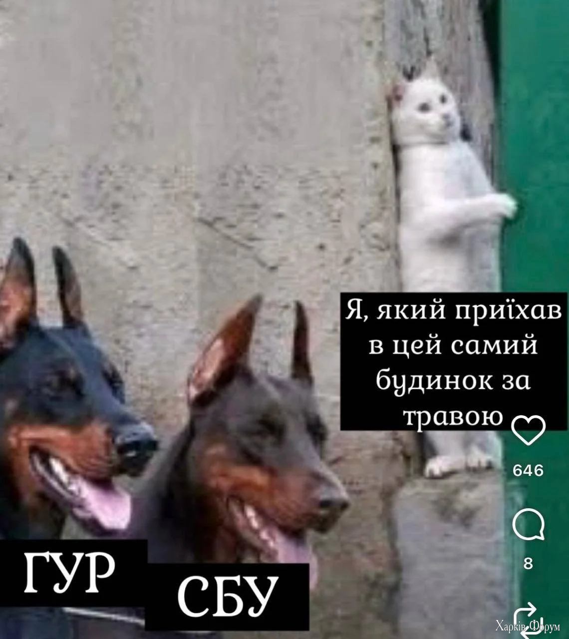 1000051407.webp