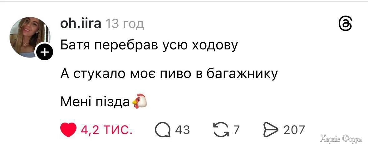 1000053049.webp