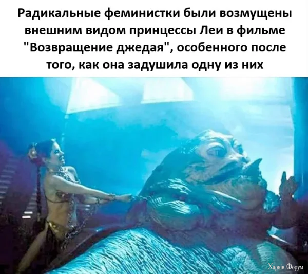 1000054217.webp