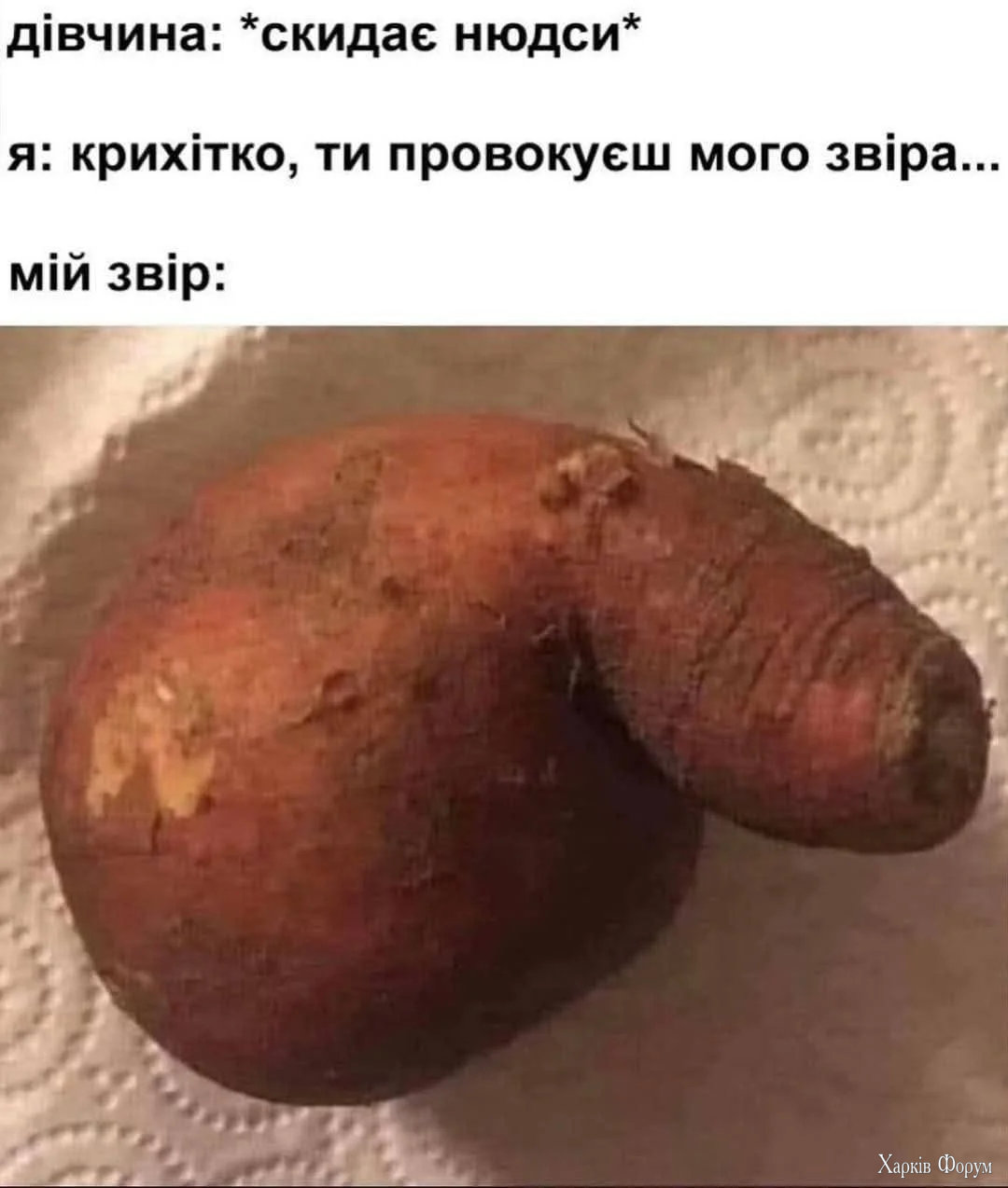 1000055978.webp