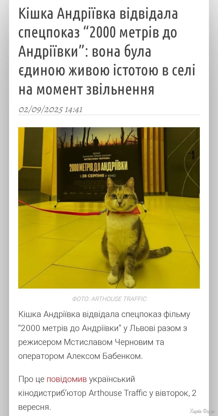 1000061298.webp