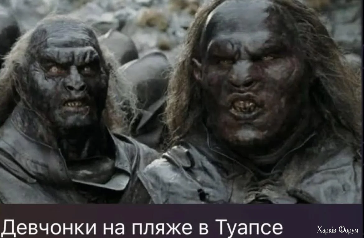1000064723.webp