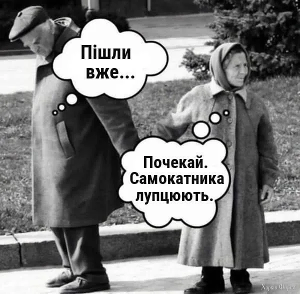 1000064827.webp
