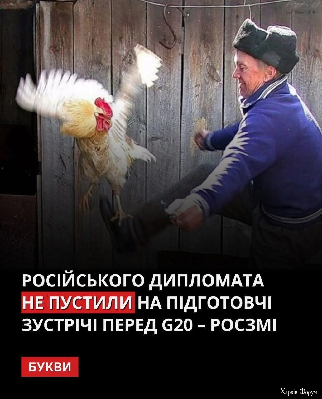1000064995.webp