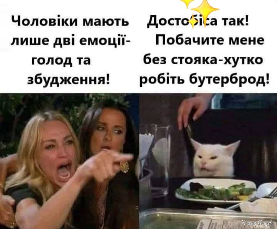 1000065003.webp