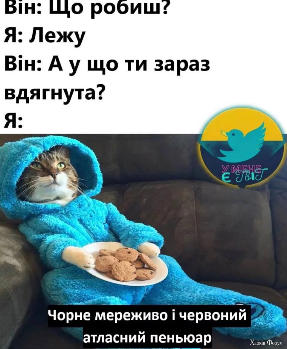 1000065291.webp
