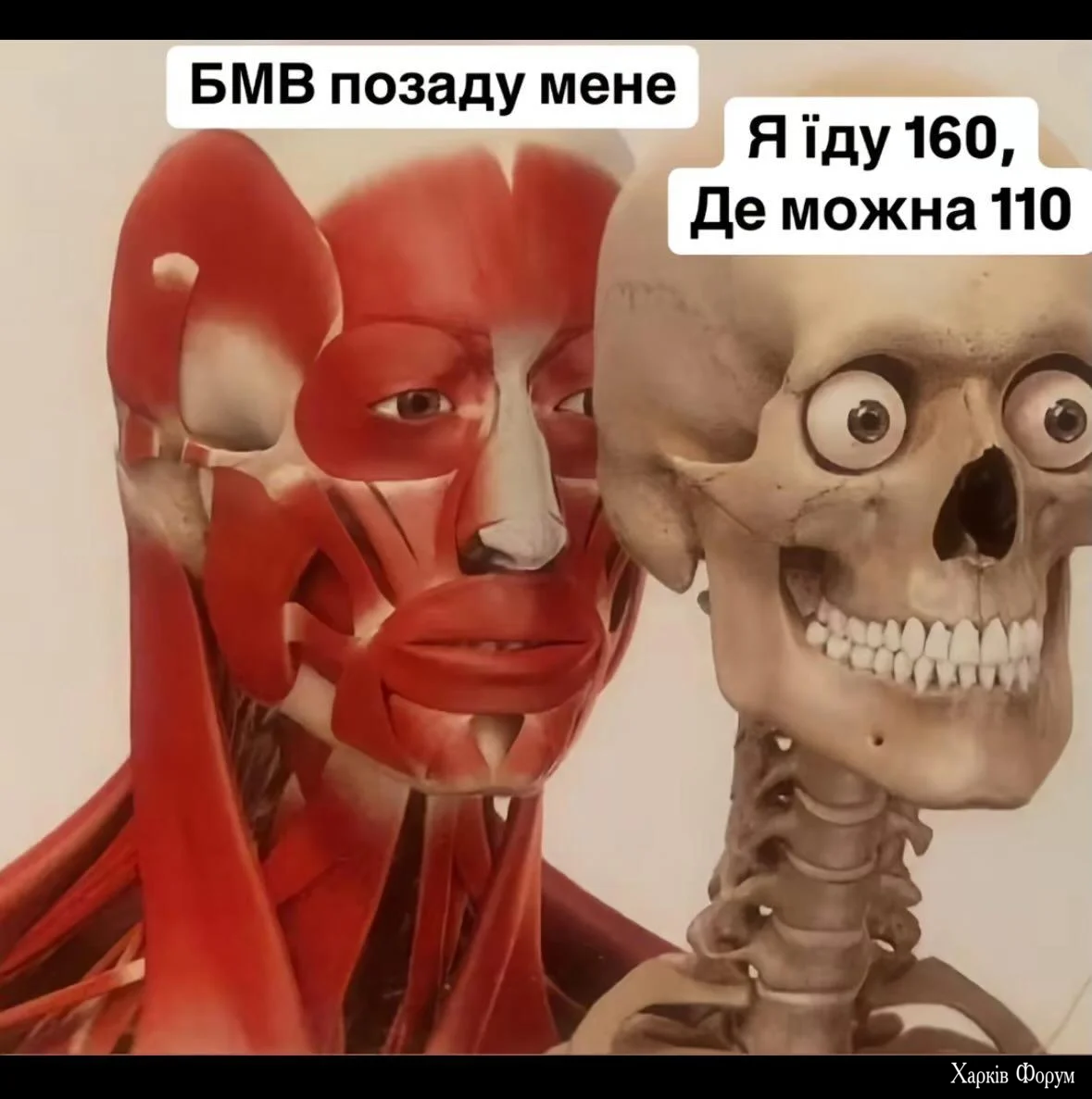 1000066222.webp