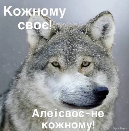 1000066532.webp