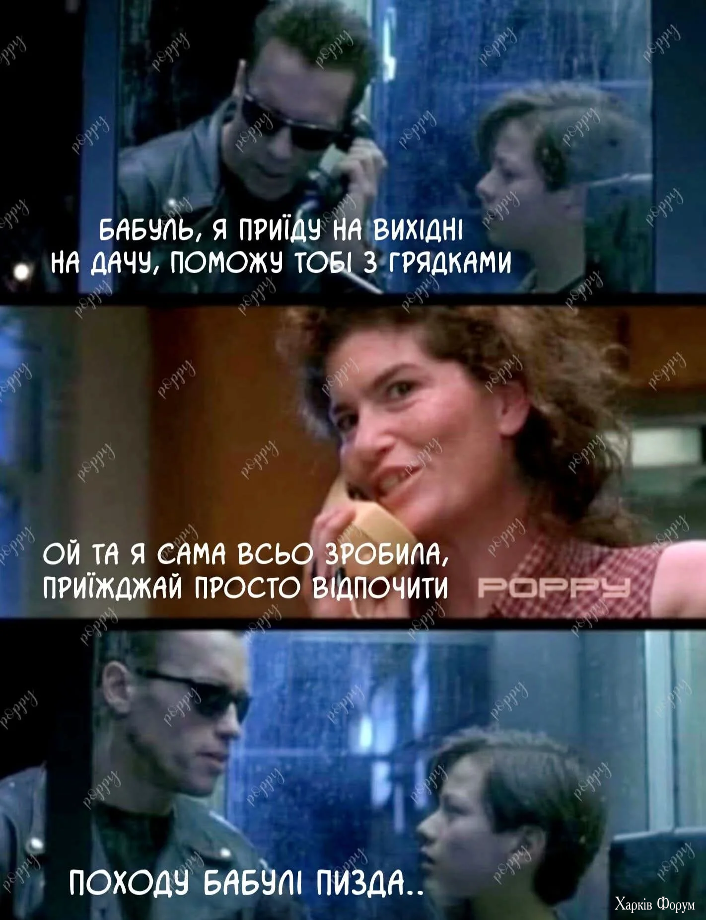 1000066547.webp