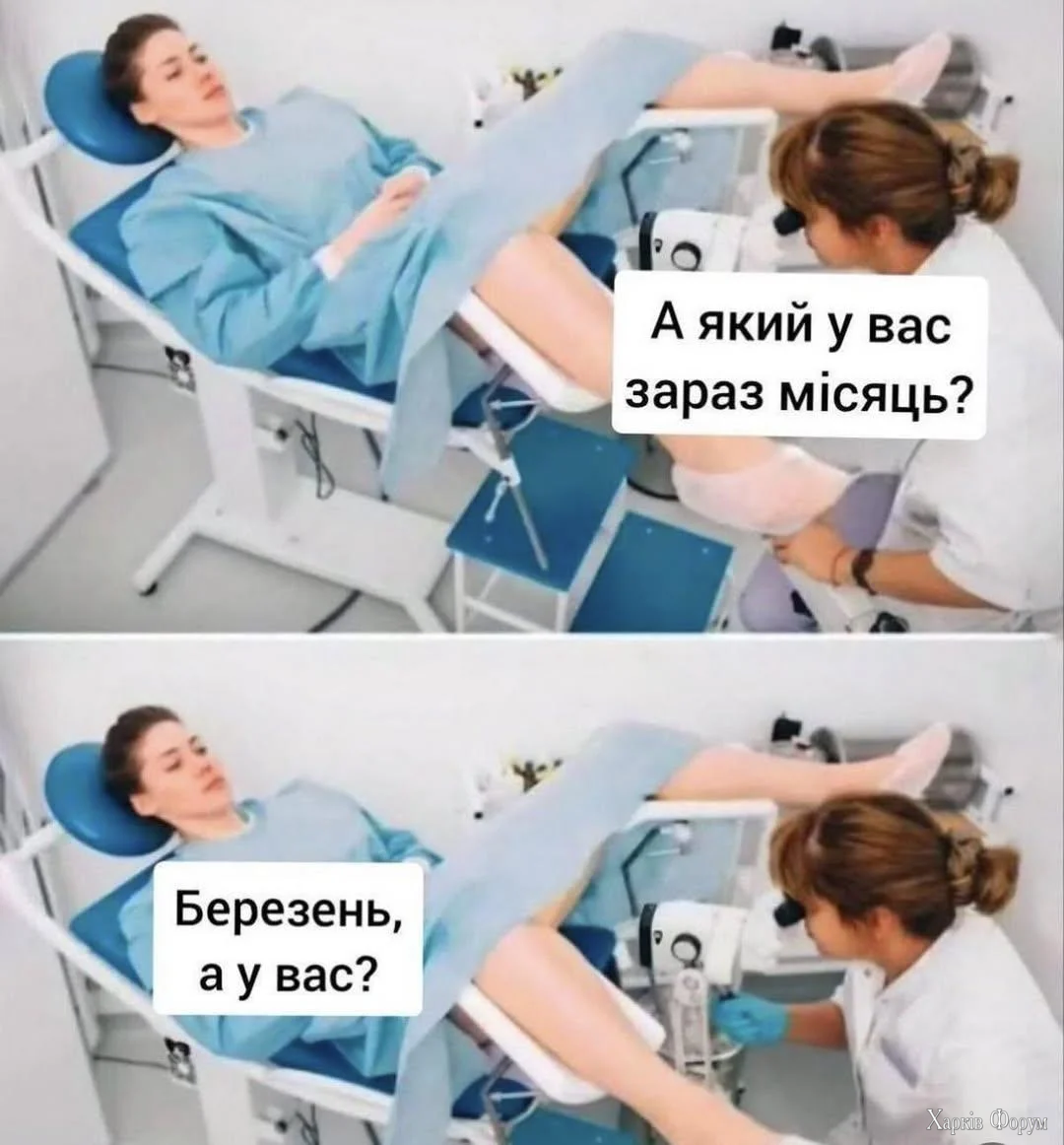 1000066636.webp