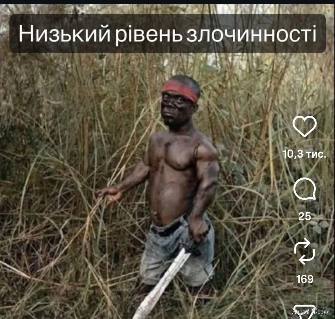 1000066639.webp