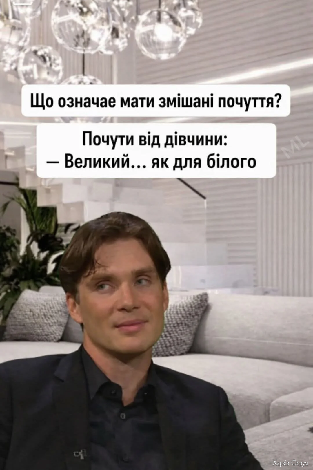 1000066764.webp