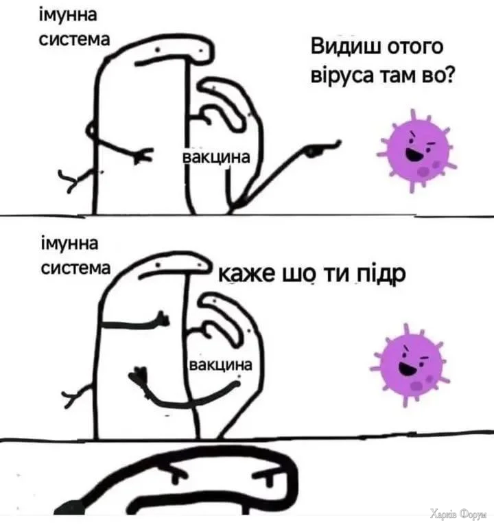 1000066833.webp