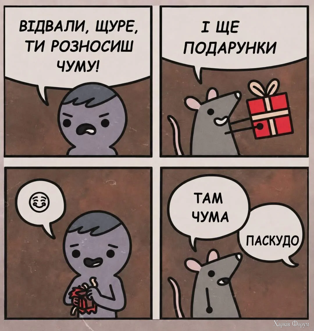 1000066834.webp