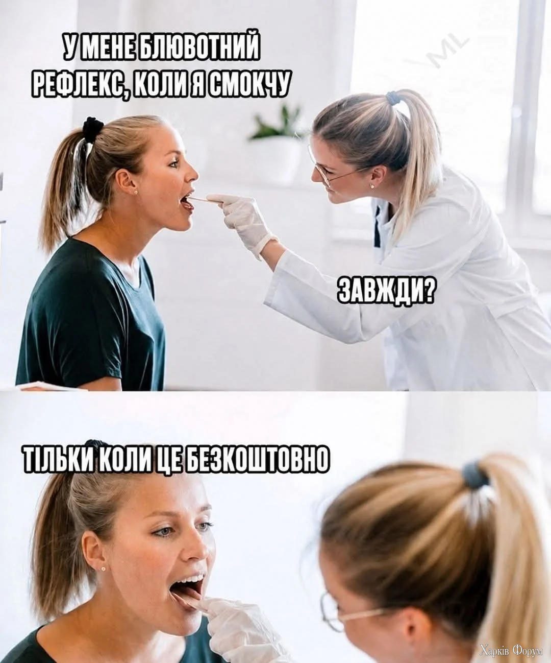 1000066841.webp