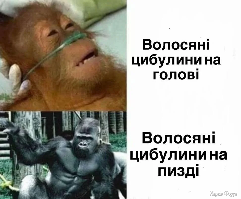 1000066985.webp