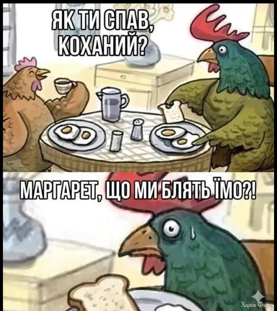 1000067077.webp