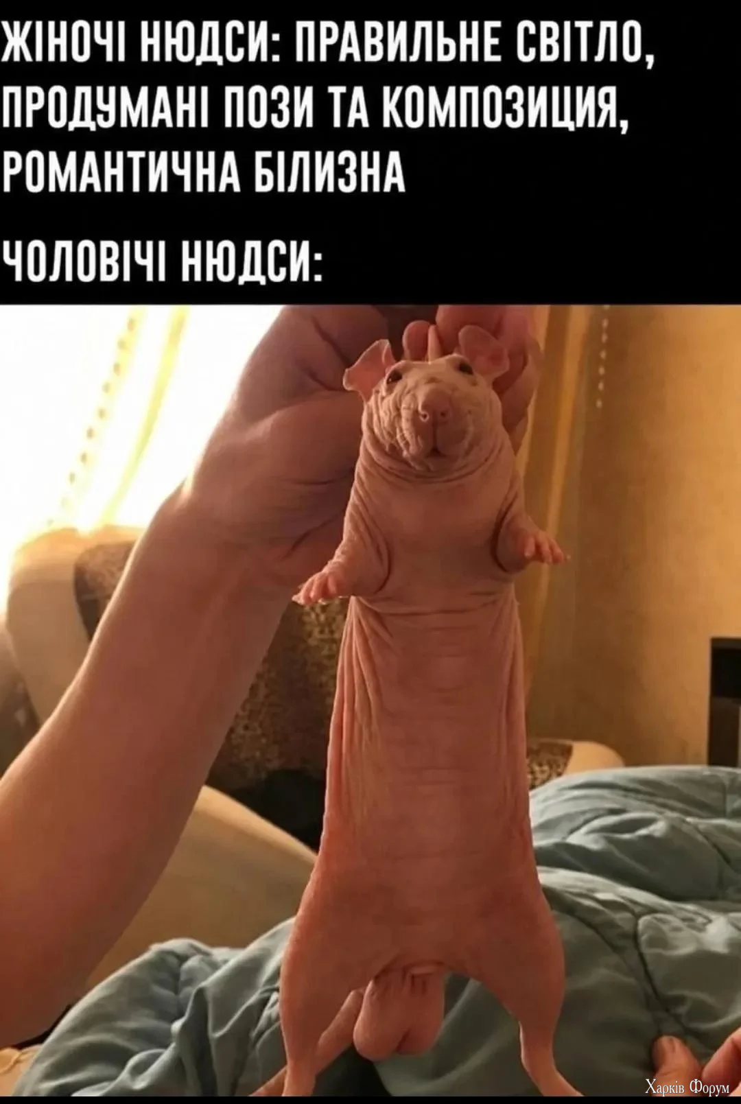 1000067144.webp