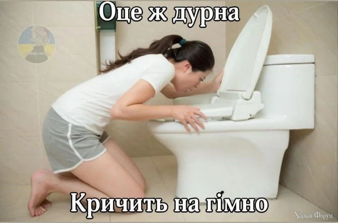 1000067233.webp