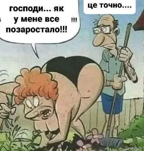 1000067241.webp