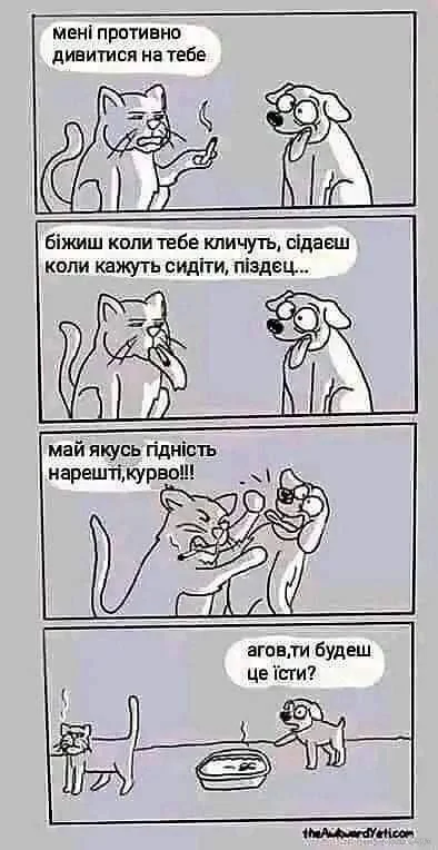 1000067279.webp