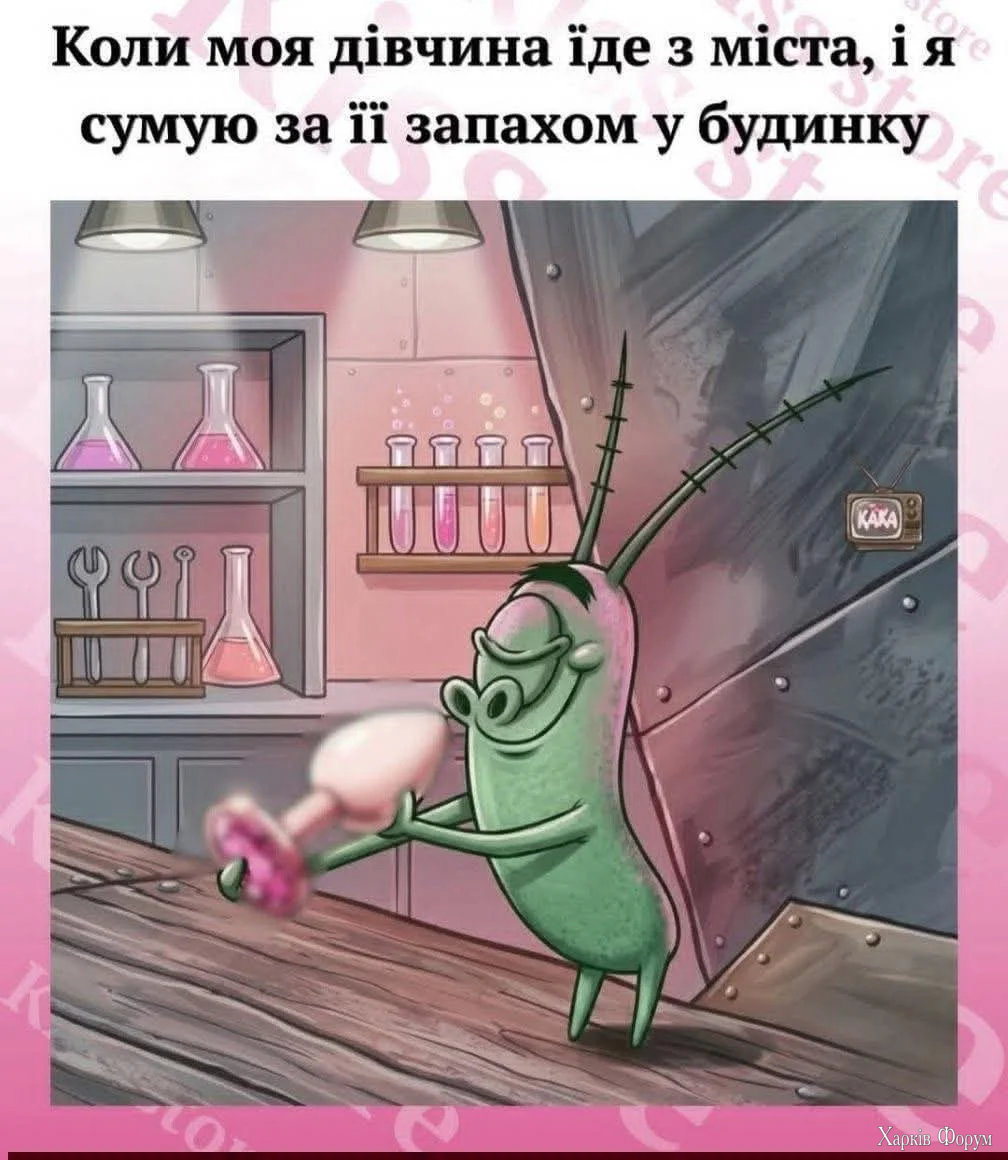 1000067460.webp