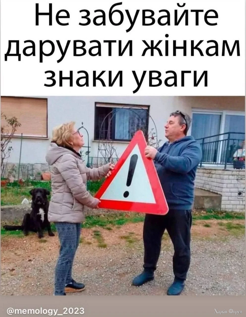 1000067650.webp