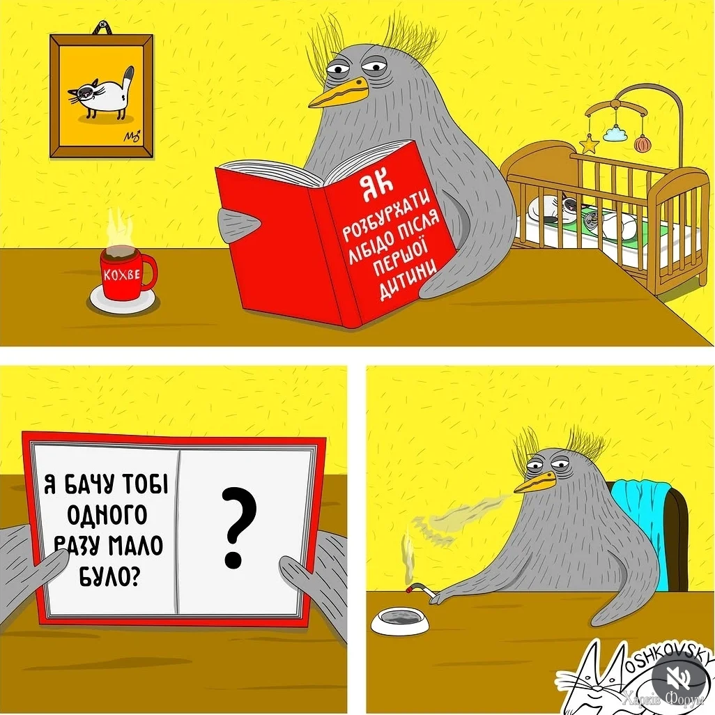 1000067729.webp
