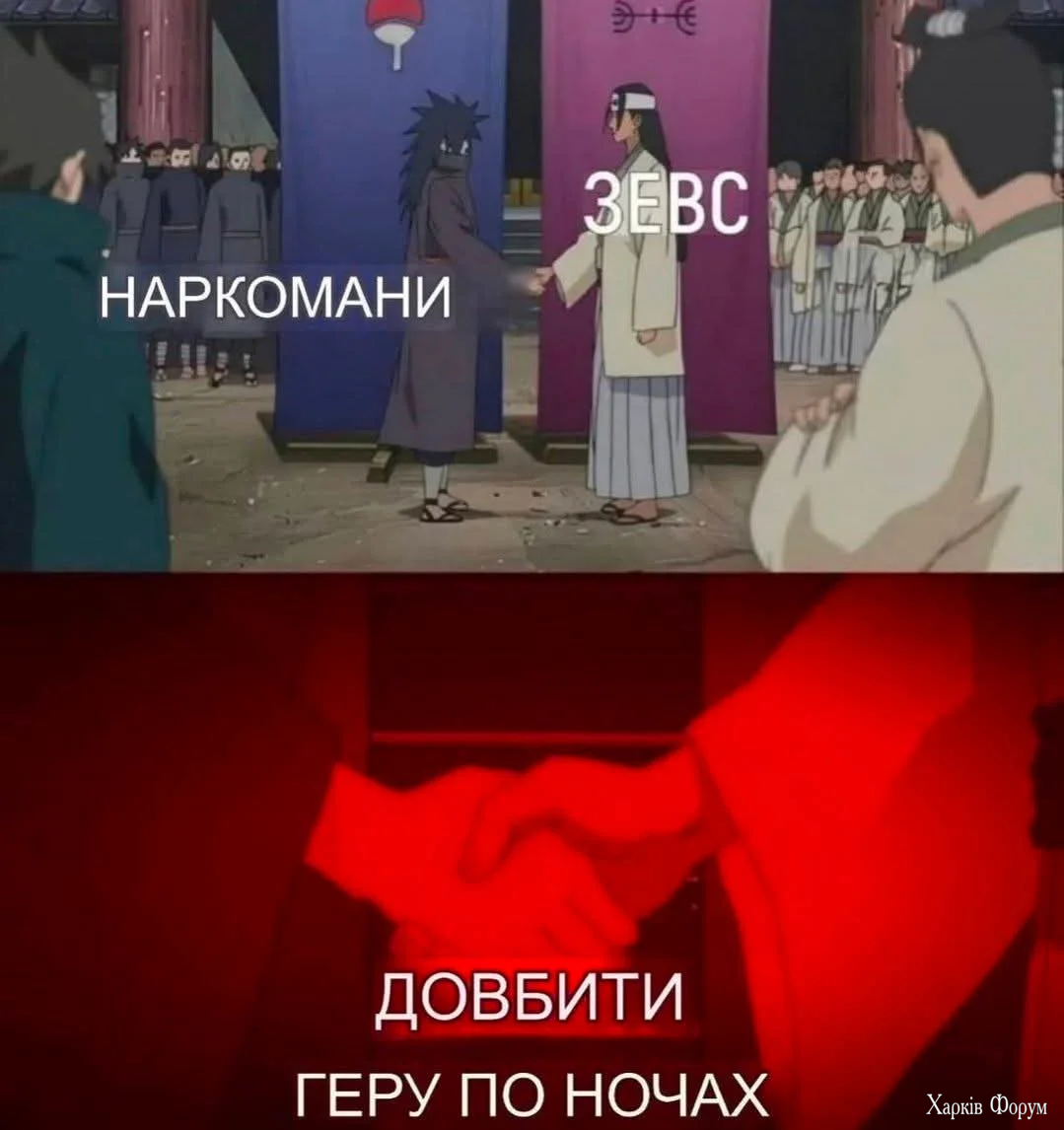 1000067963.webp