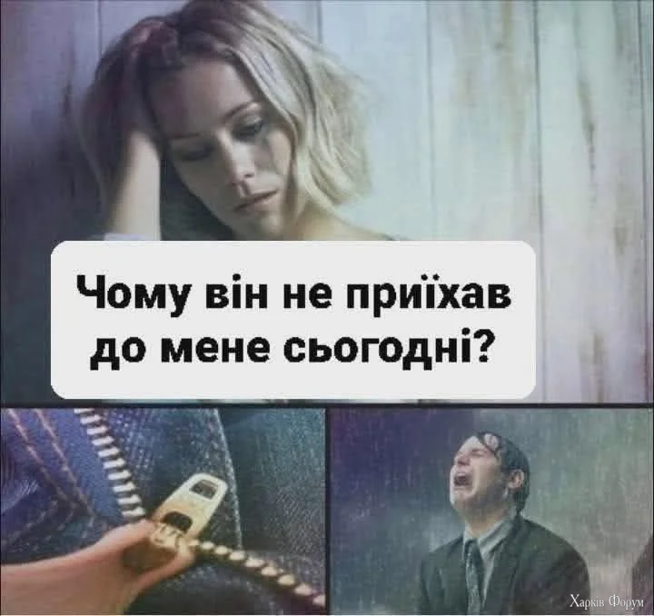 1000067964.webp