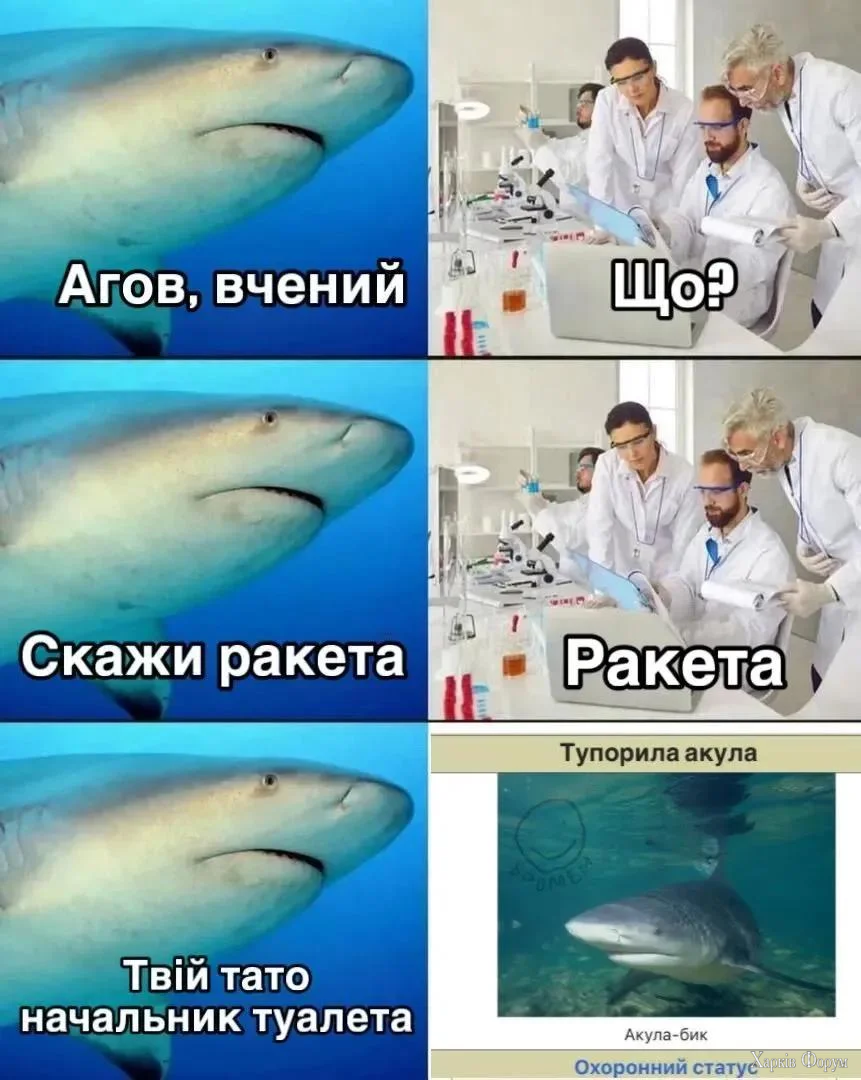 1000068038.webp
