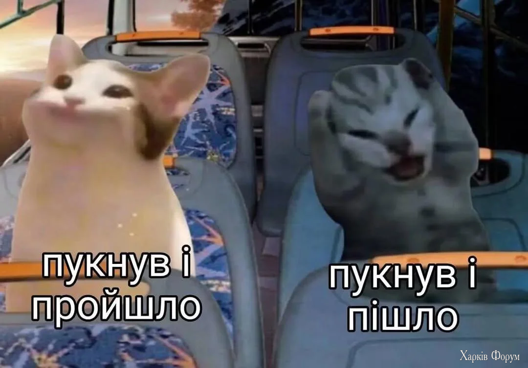 1000068040.webp