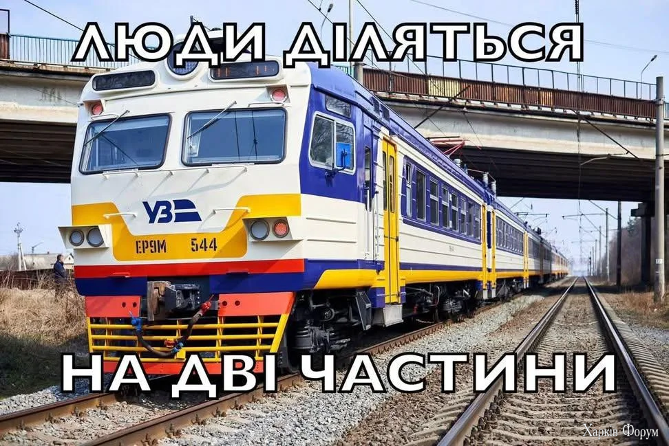 1000068041.webp