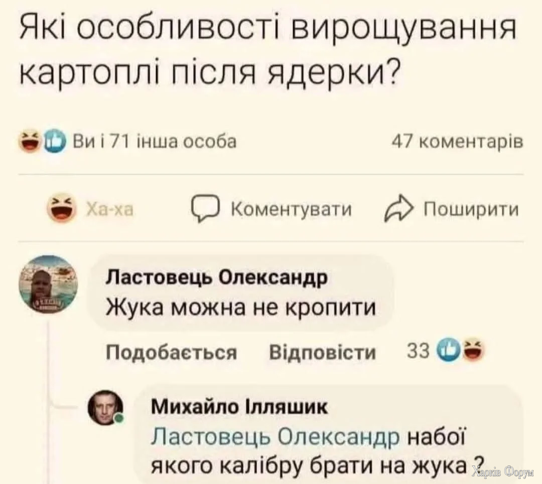 1000068226.webp