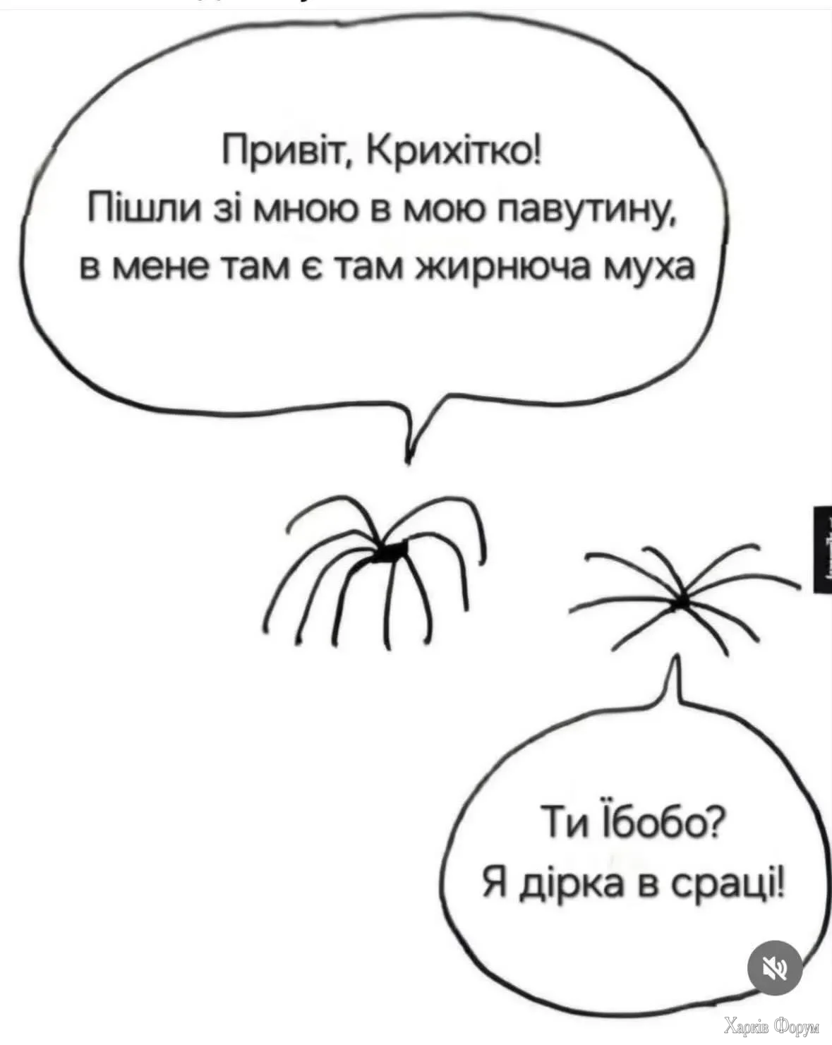 1000068353.webp