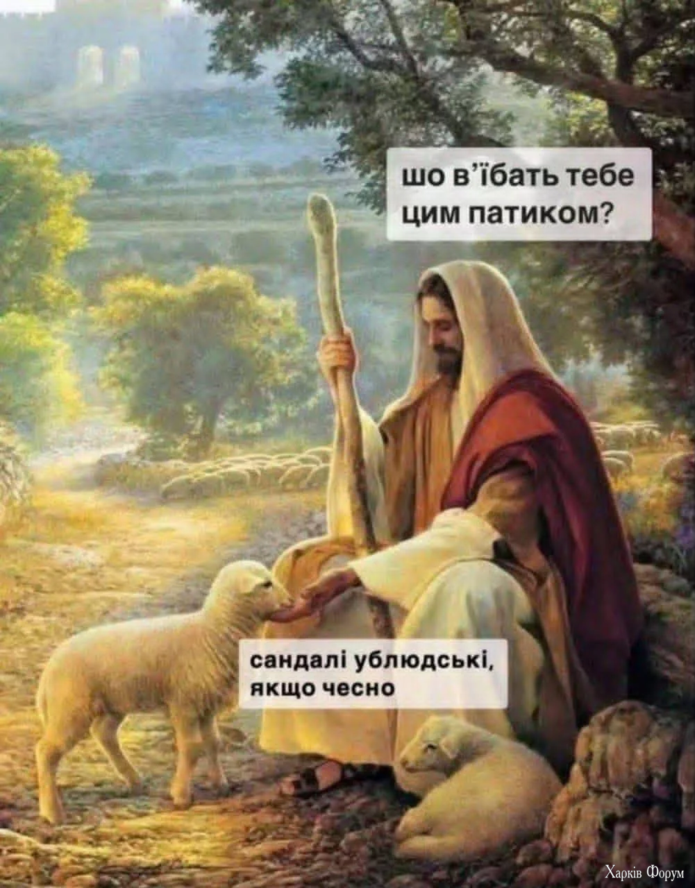 1000068372.webp