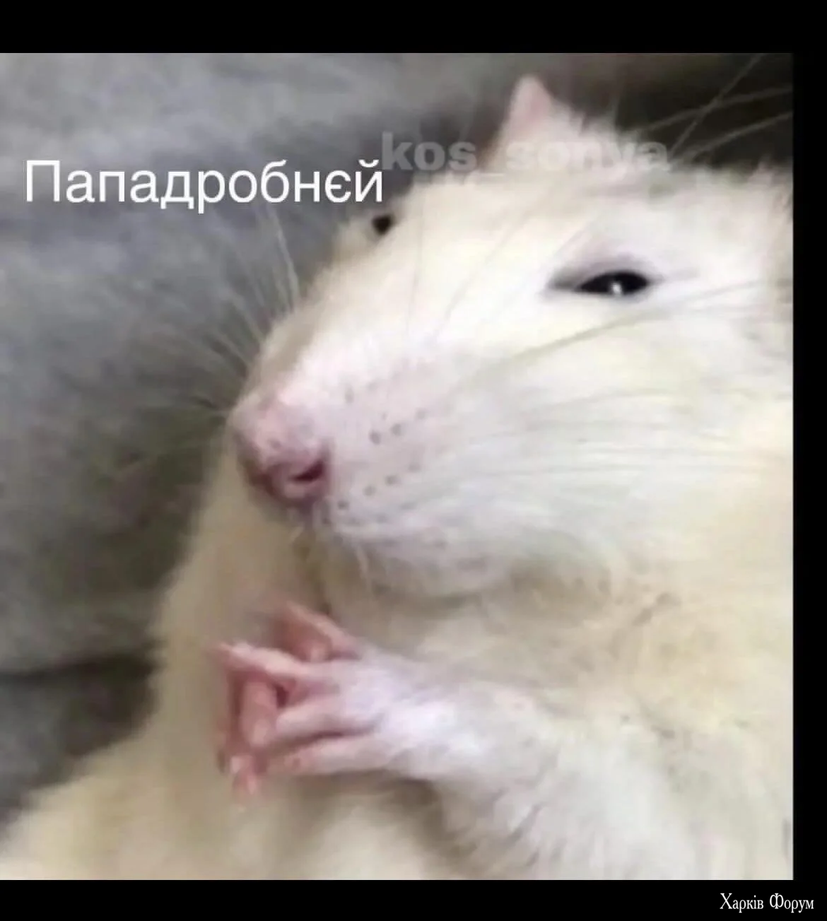 1000068374.webp