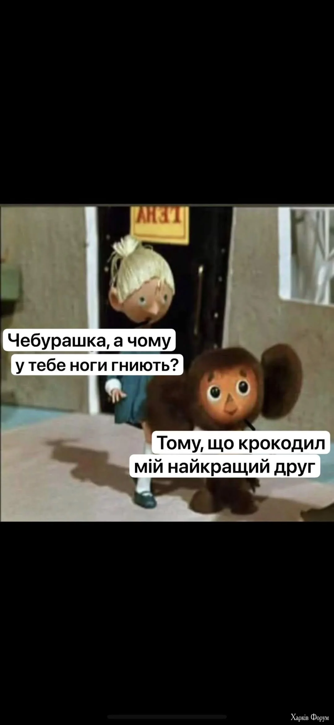 1000068380.webp