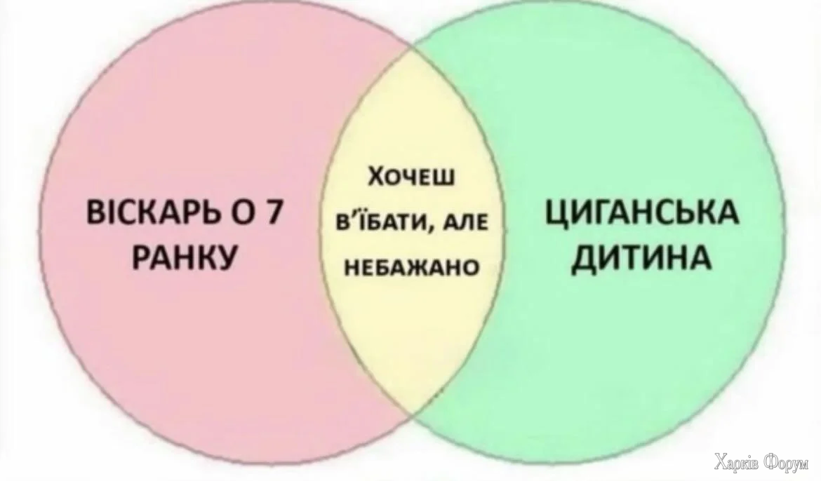 1000068663.webp