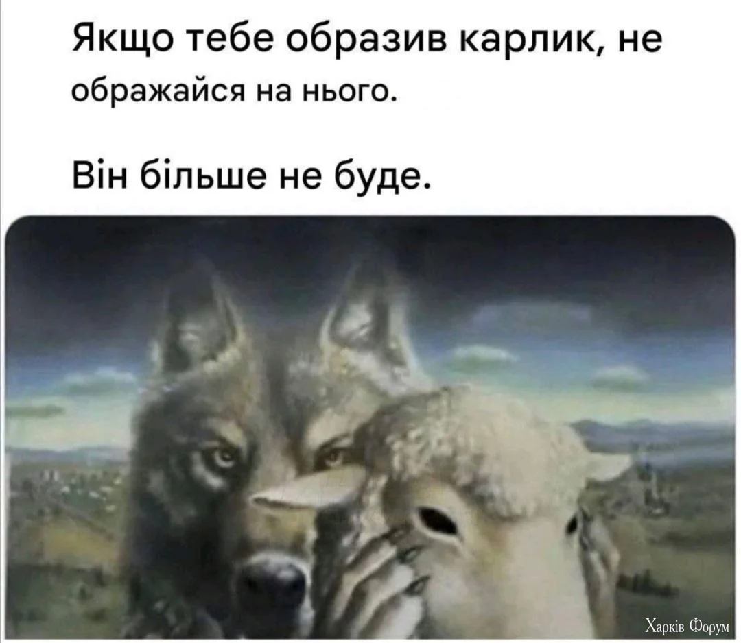 1000068712.webp