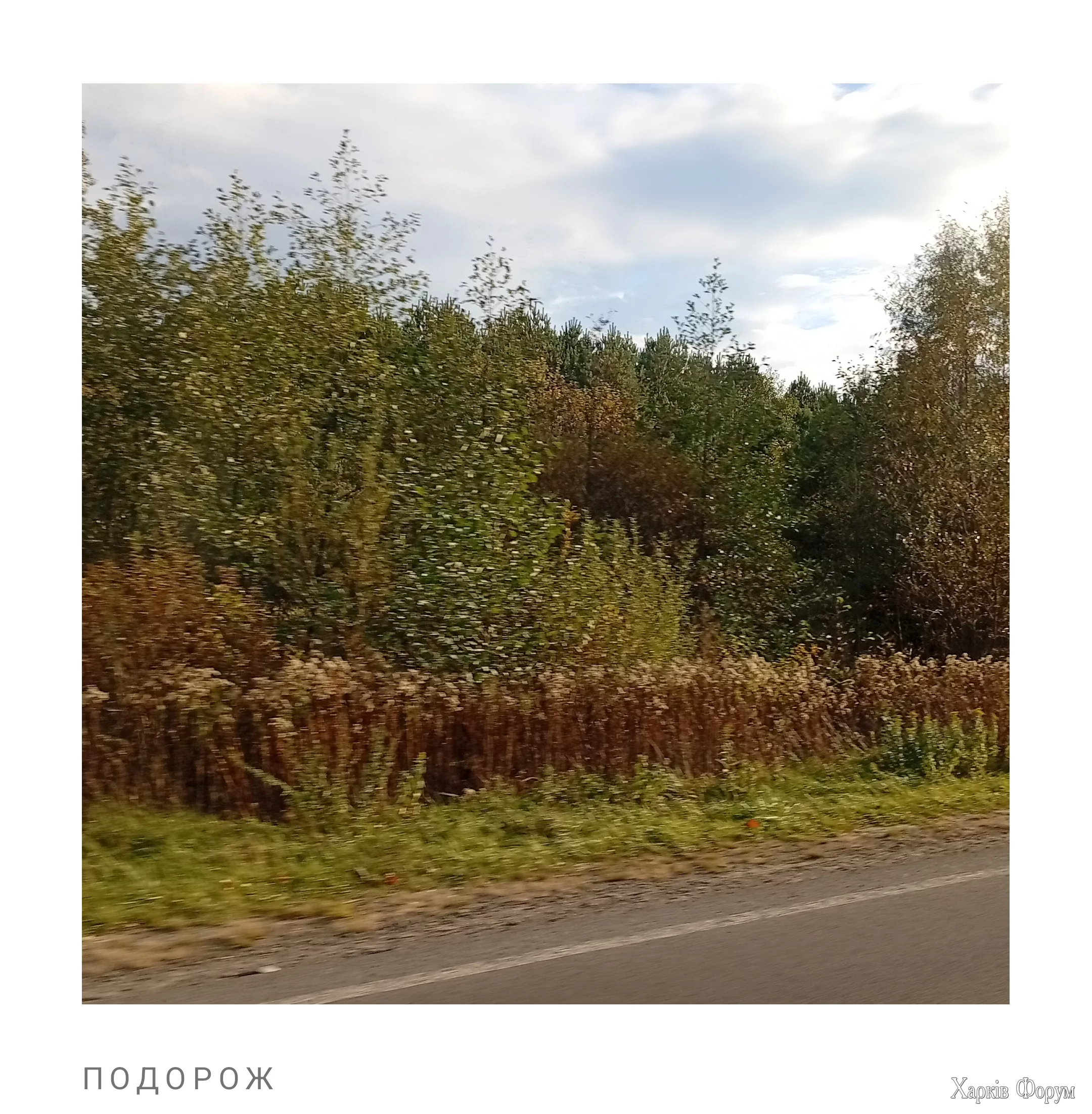1000068878.webp