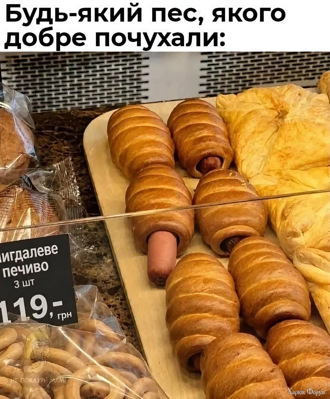 1000069609.webp
