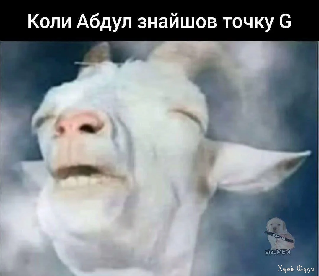 1000069704.webp