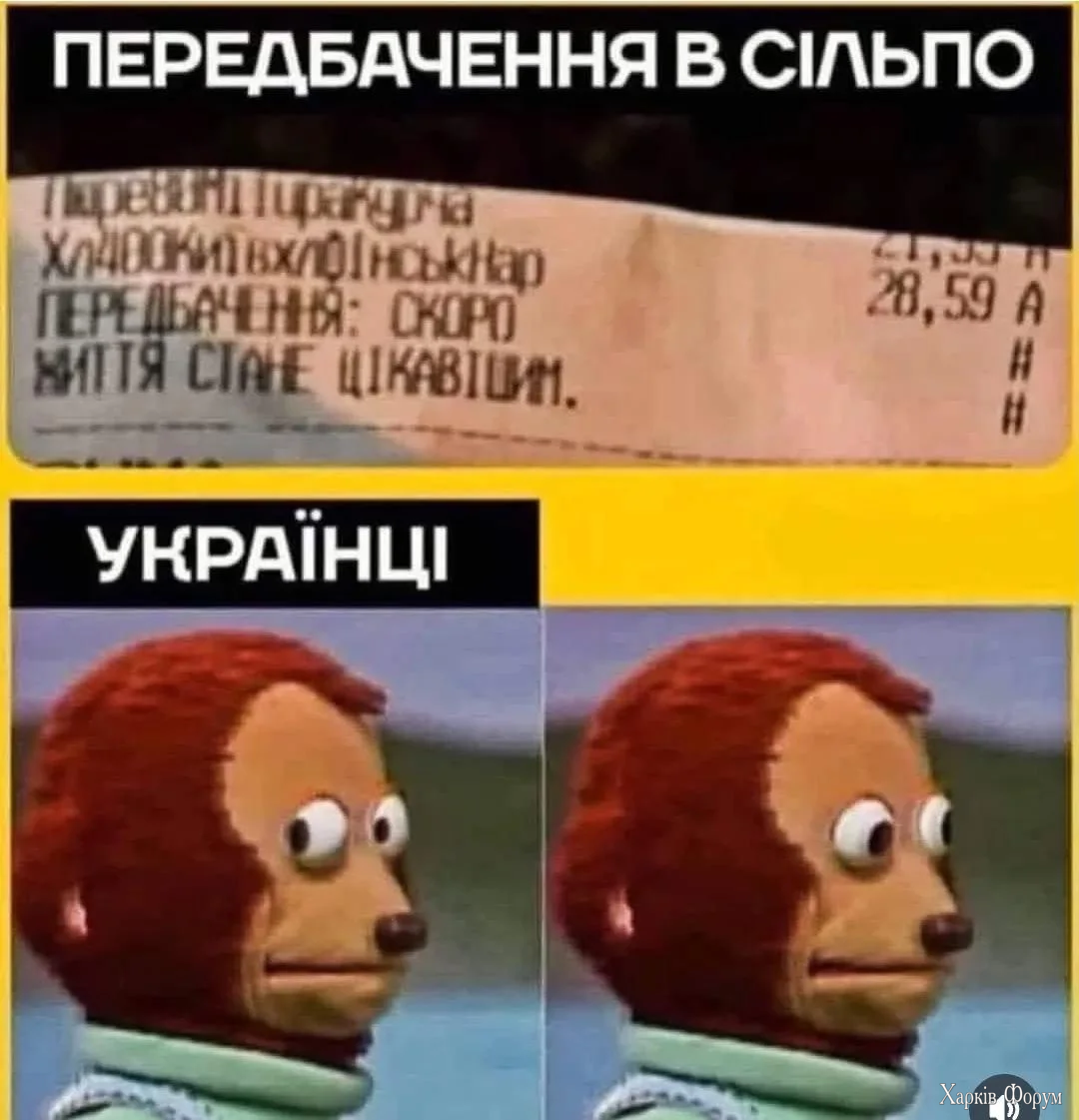 1000069830.webp